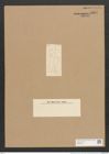 Nitzschia africana Grun. (de-Toni-Nr.: Genus 47, Species 2177) Zeichnungen Sammlung Grunow Nr. 4354 (NHMW-BOT-W0372401)